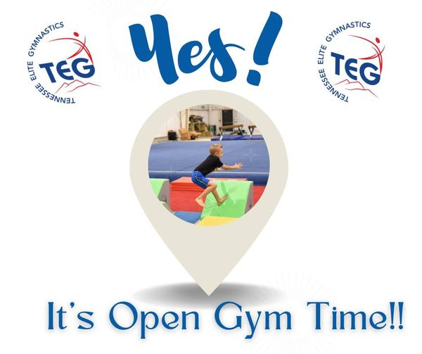TennesseeEliteGymnasticsOpenGym