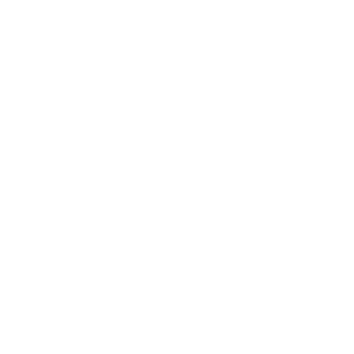 tennessee elite gymnastics logo